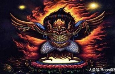 外教登场！大鹏教育的学习生活迎来新篇章