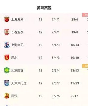 中超积分榜：蓉城绝杀13分领跑 西海岸12轮不败升至第6