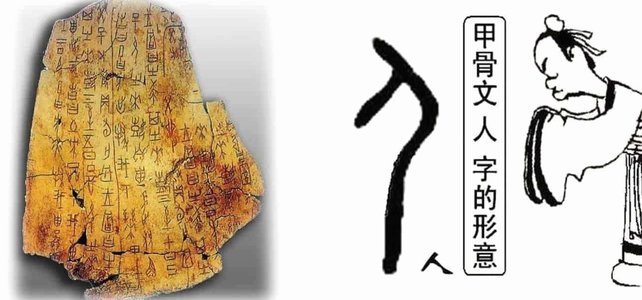 从低级联赛到五大联赛：贾塔的成长奇迹